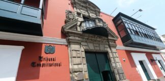 Tribunal Constitucional