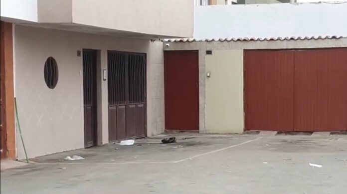 Padre e hijo molieron a golpes a mujer que denunció fiesta