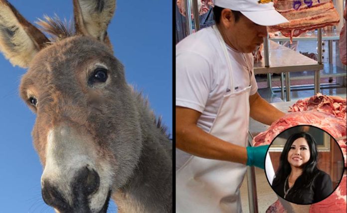 Llaman ‘loca’ a ministra por decir que exportaremos carne de burro a China