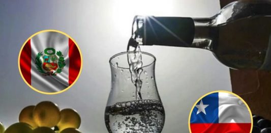 Tras el respaldo de la UNESCO, Chile tomará acciones sobre el origen del pisco